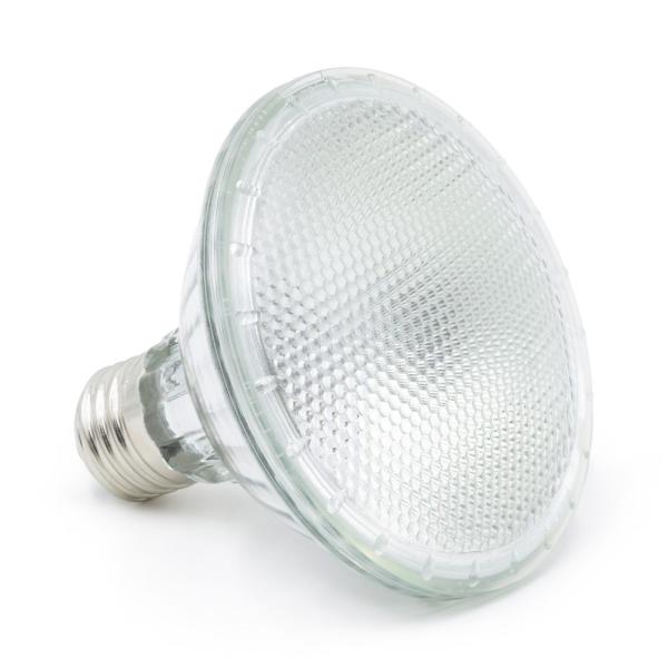 Terra Exotica Halogen Sunspot - Halogen Spotstrahler - 35 Watt
